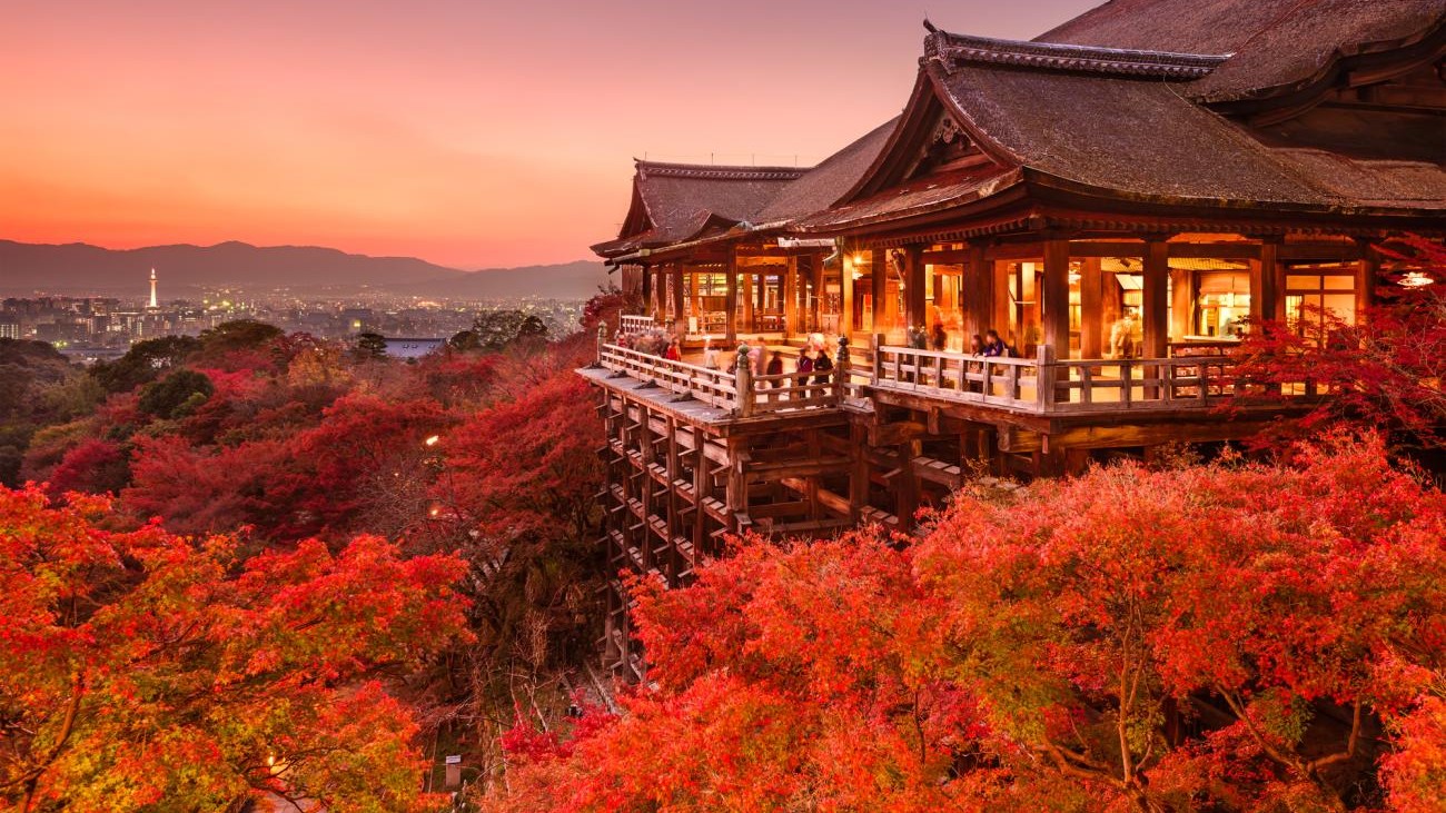 autumn leaves in Kyoto