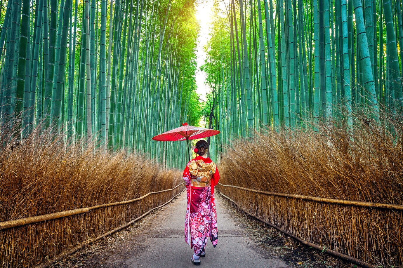 Panduan Lengkap Itinerary Jepang 7 Hari untuk Pemula