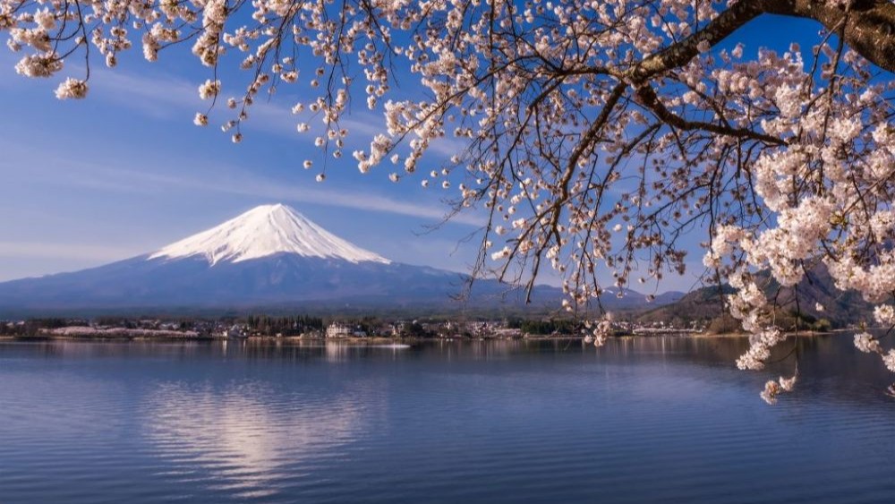 Cara Kerja Di Jepang yang Instagramable dan Unik