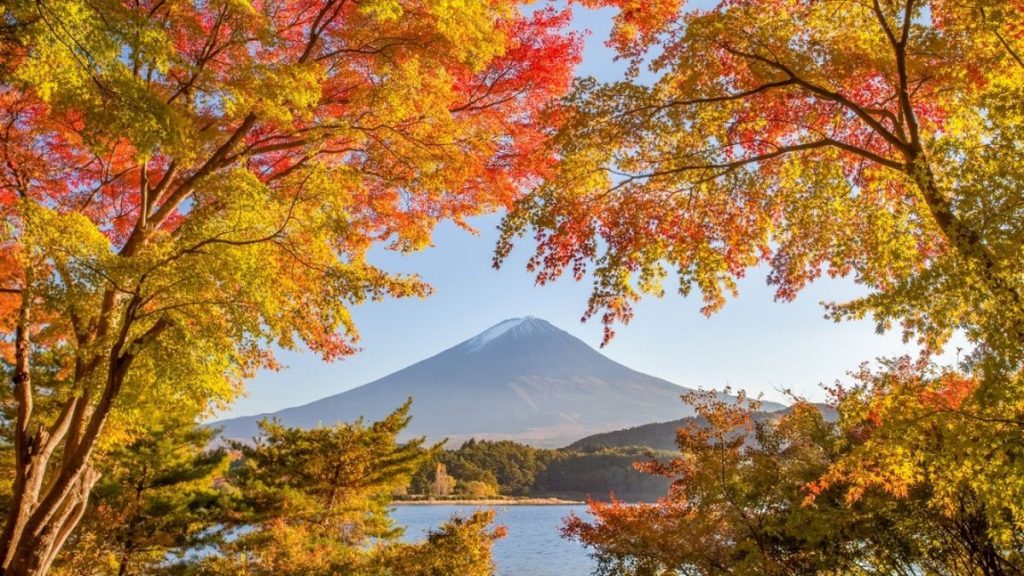 Cuaca Empat Musim di Jepang ala Backpacker, Yuk Coba!