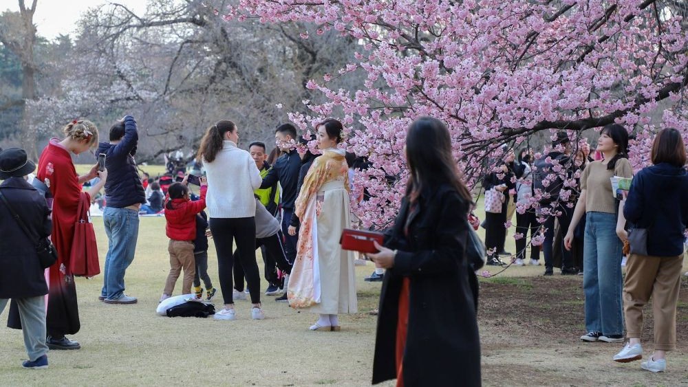 Sekolah Bahasa Jepang Di Tokyo Anti Ribet untuk Liburan Seru!