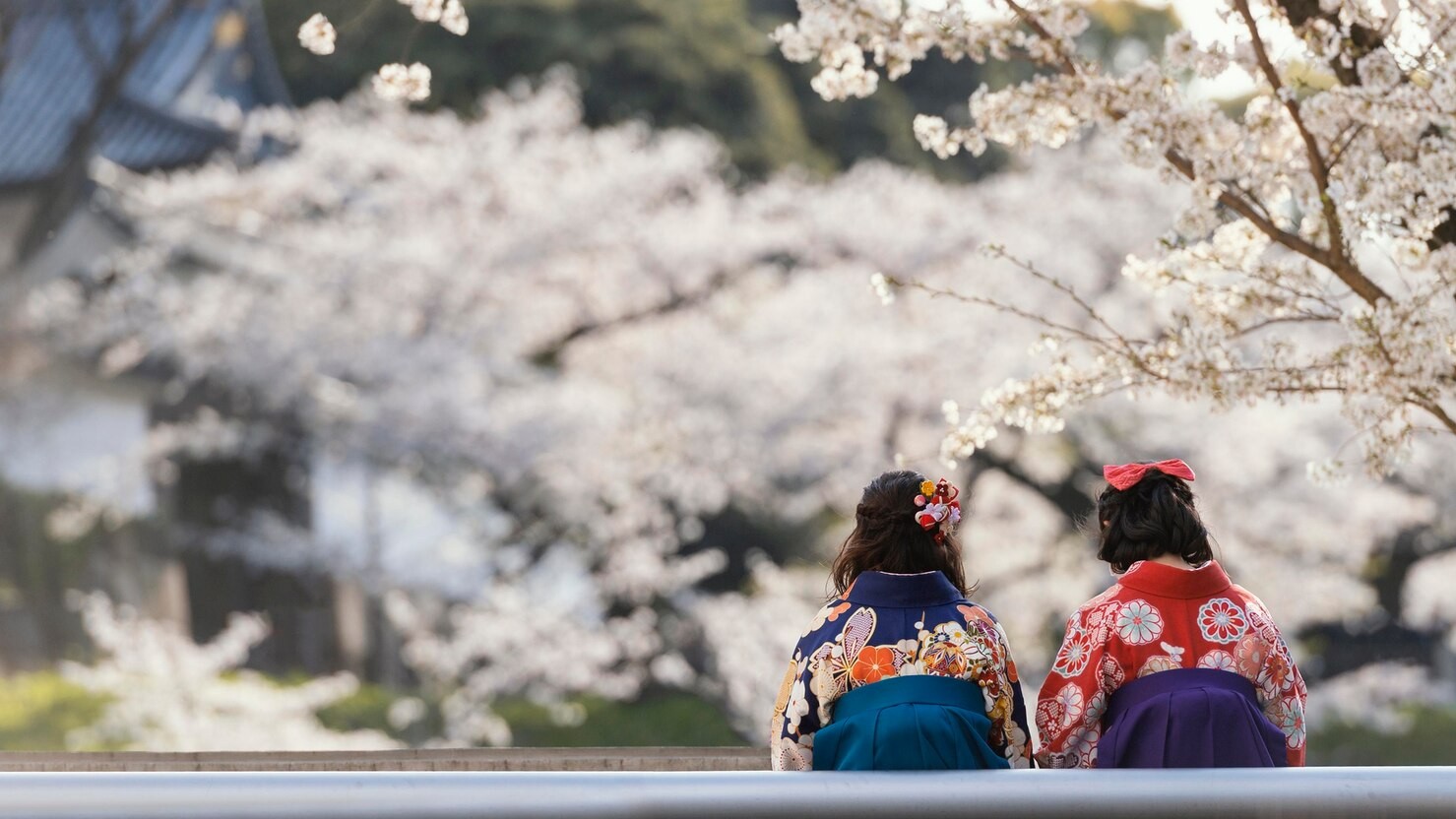 Pilihan Terbaik & Seru untuk Liburan Musim Panas di Jepang yang Wajib Dicoba