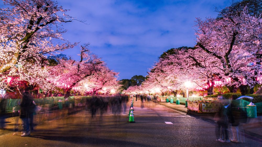 Ueno Park