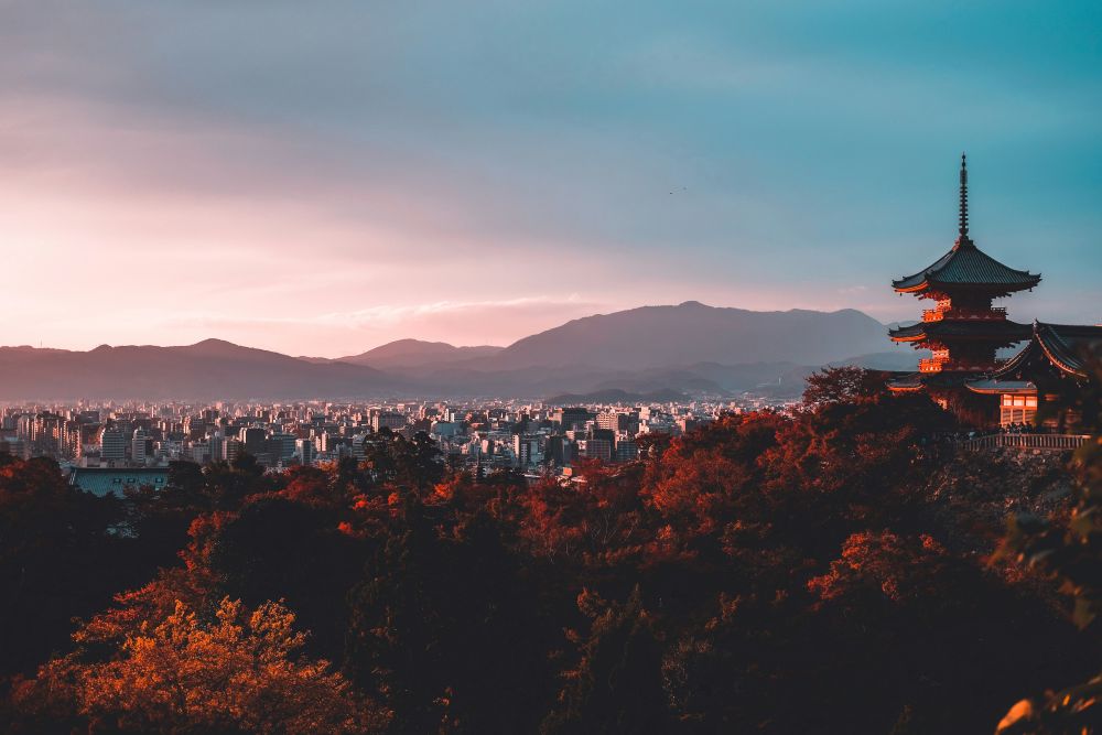 Itinerary Jepang 7 Hari untuk Pemula: Rute Tokyo-Kyoto-Osaka ala Tour Leader