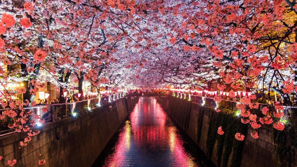 Panduan Liburan Keluarga ke Jepang 2026: Itinerary & Tips Rombongan