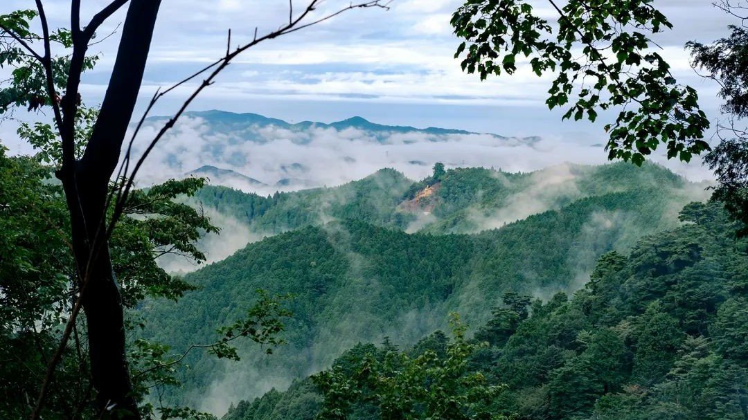 Gunung Koya