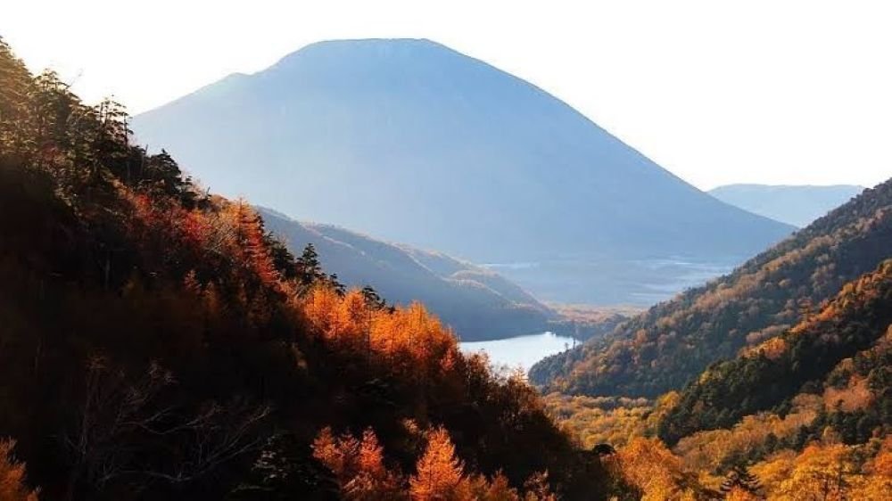 Nikko Okunikko