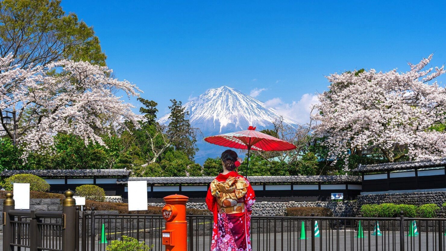 Tips Memilih Paket Tour Jepang yang Bagus & Anti-Zonk