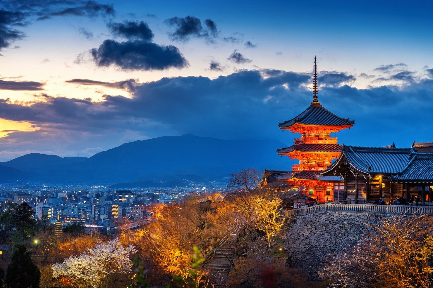 Tips Memilih Open Trip Jepang Terpercaya Biar Bebas Tipu
