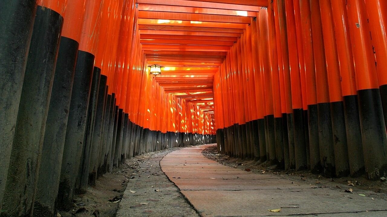 Panduan Wisata Fushimi Inari Kyoto Terlengkap & Senbon Torii