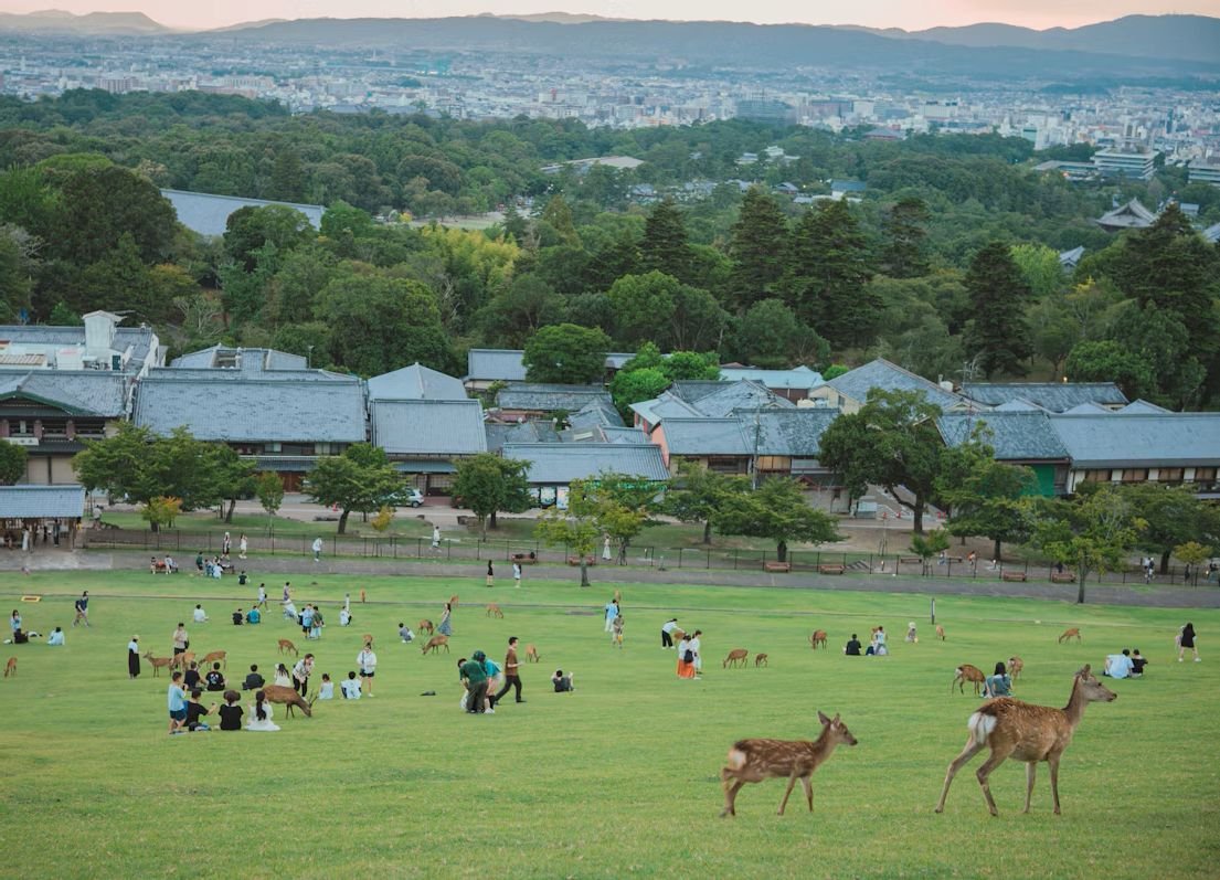 Panduan Wisata Nara Park Jepang Terlengkap & Kuil Todaiji